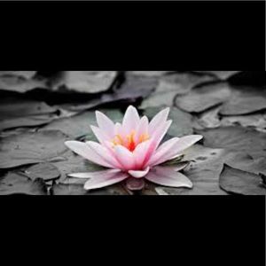 Meet your Posher, Nand